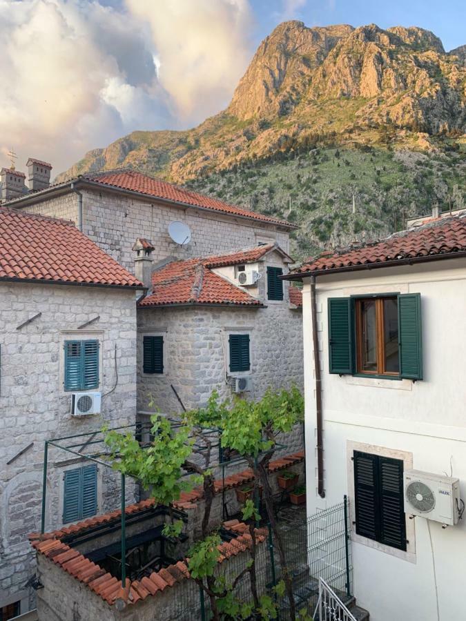 Apartments Leo Kotor Luaran gambar